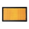 AF2542300 Luft Filter