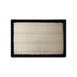 AF2629800 Luft Filter