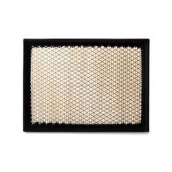 AF2575400 Luft Filter