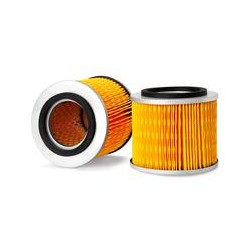 AF2530900MX Luft Filter