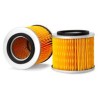 AF2530900MX Luft Filter