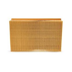 AF2584100 Luft Filter