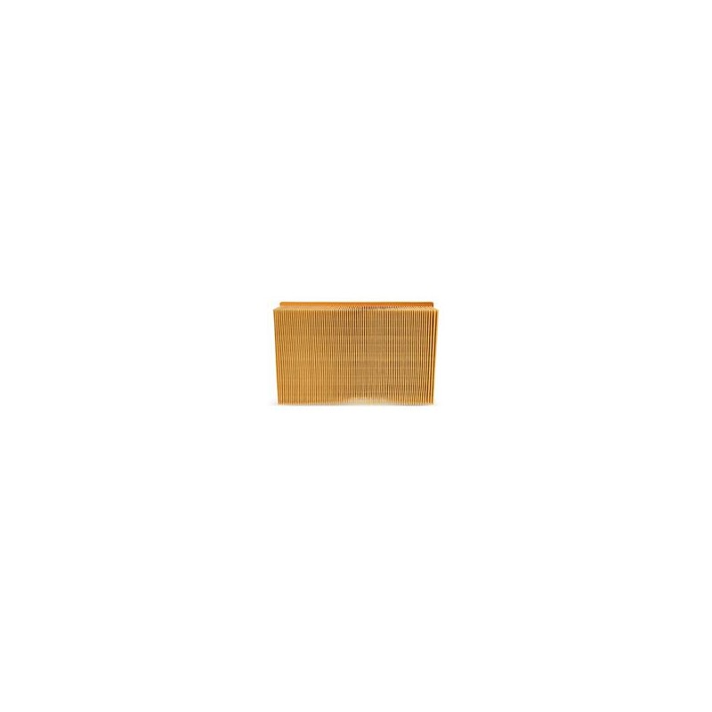 AF2584100 Luft Filter