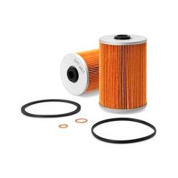 FF0506900 Treibstoff Filter