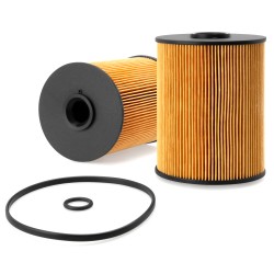 FF0573200 Treibstoff Filter