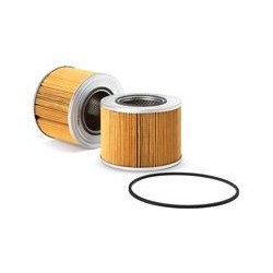 FS1279 Treibstoff Filter